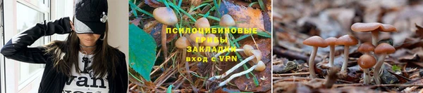 меф VHQ Бородино
