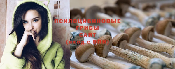 PSILOCYBIN Бугульма