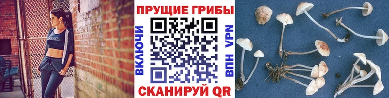 Псилоцибиновые грибы мицелий Киренск